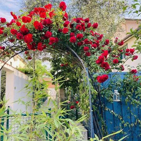 Peaceful House With Garden In St Fons - Lyon *